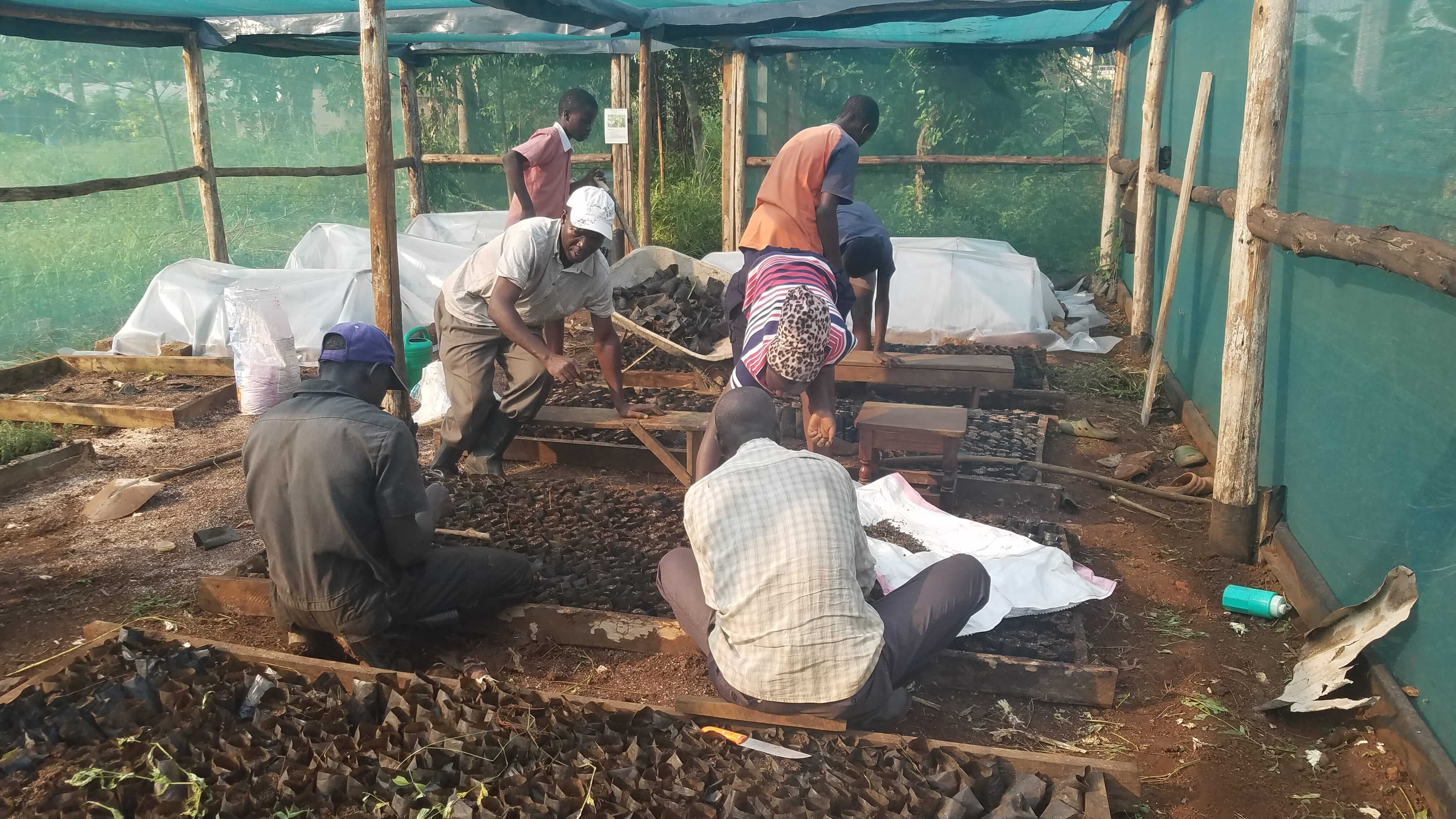 Education and skills development activities