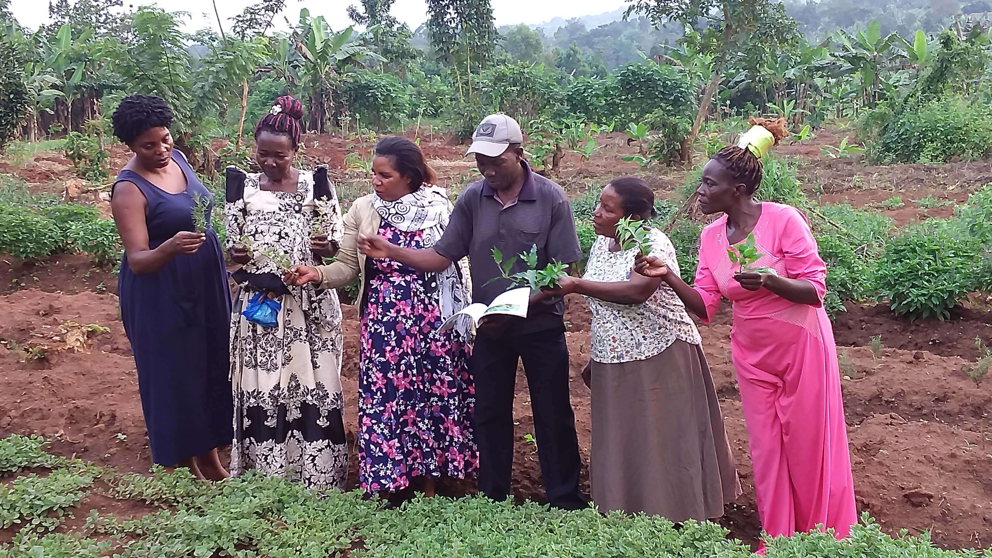 Environmental conservation activities