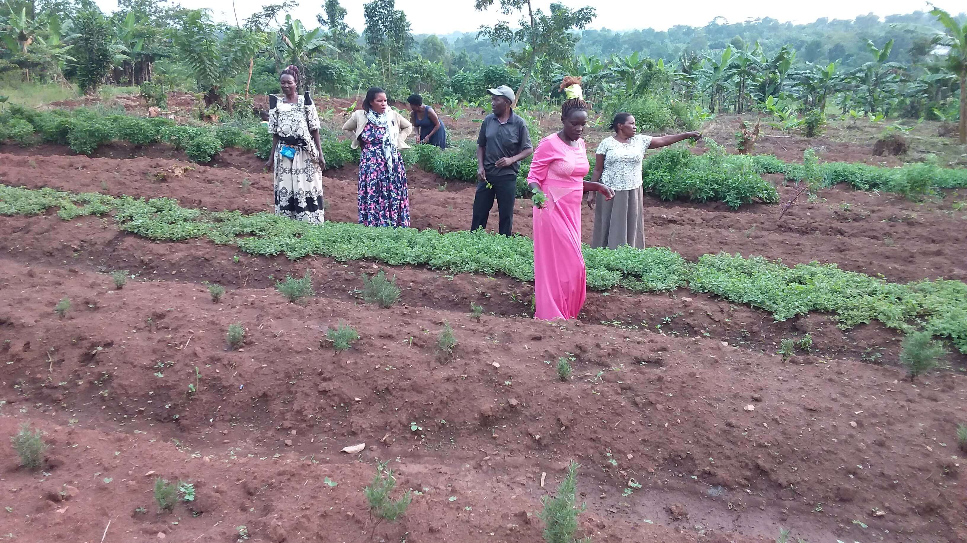 Environmental protection activities
