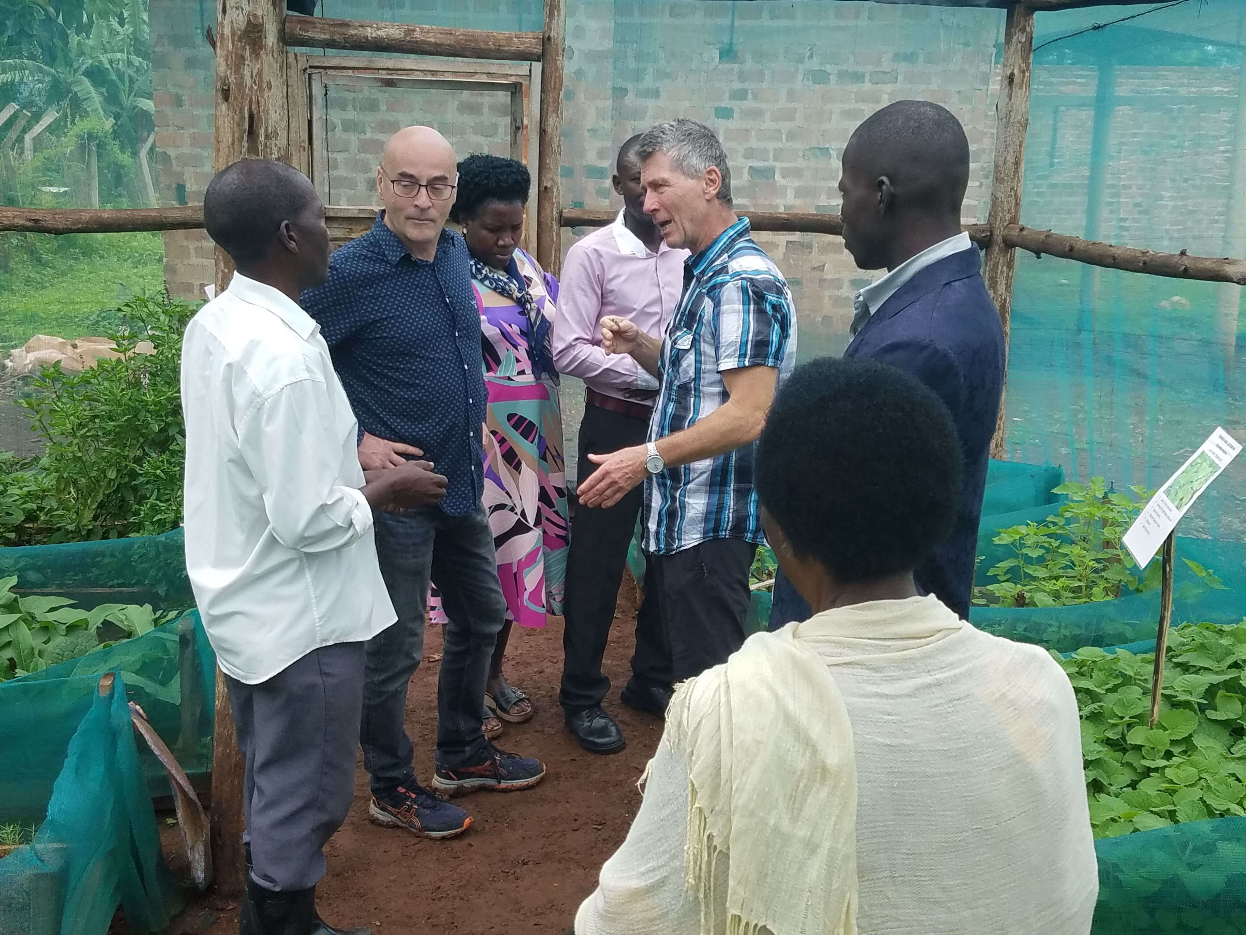 Explaining the Medicinal Project Impact to the stakeholder