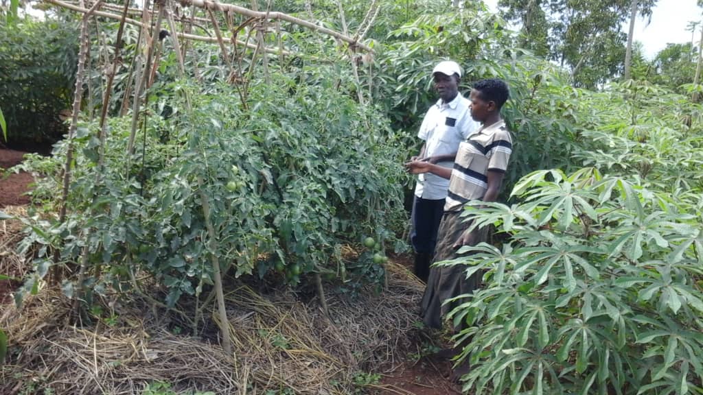 Sustainable farming practices