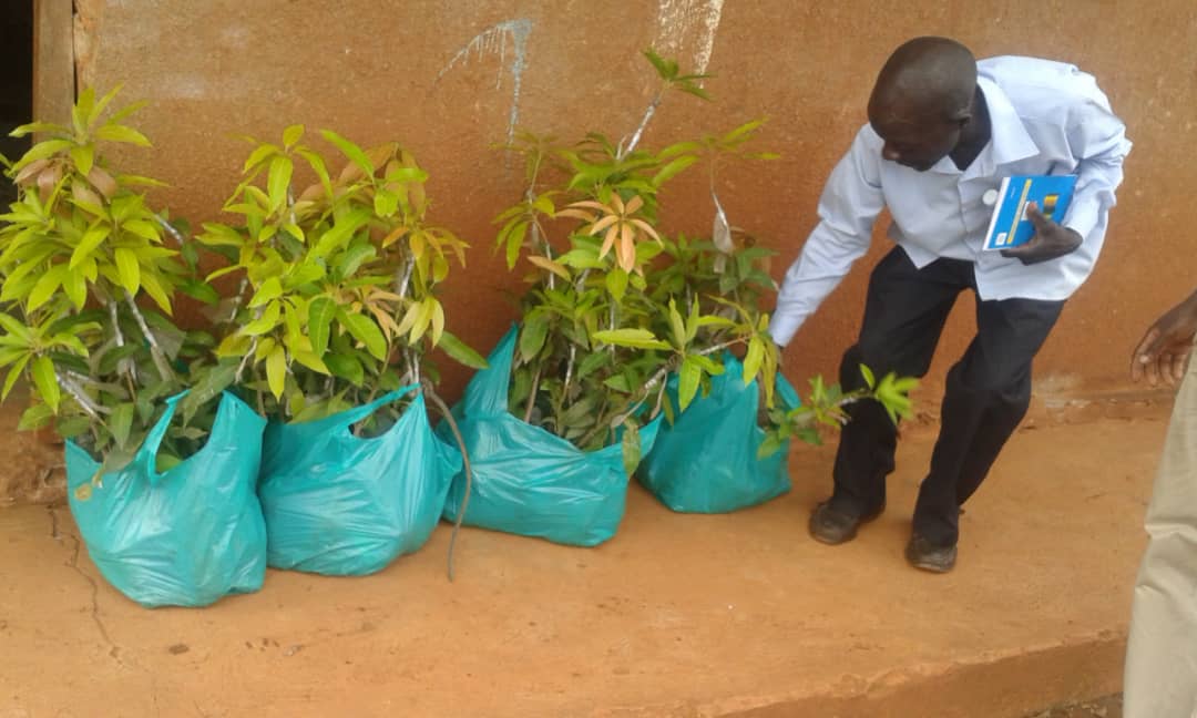 Waste management program
