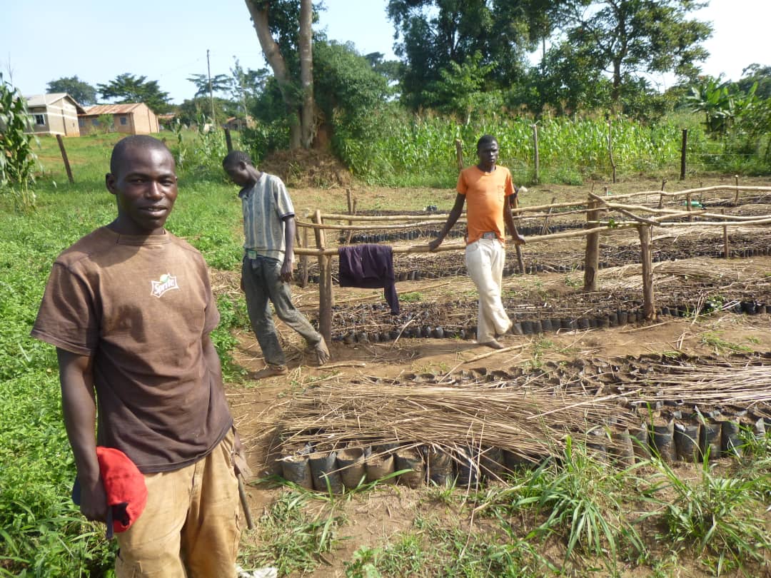 Tree planting initiative